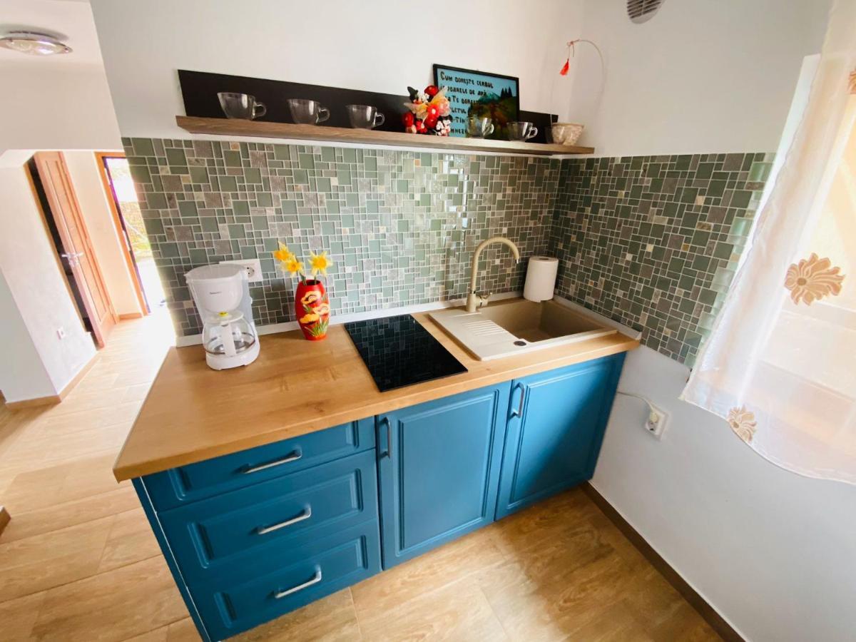 Andrei'S House Apartment Sibiu Luaran gambar